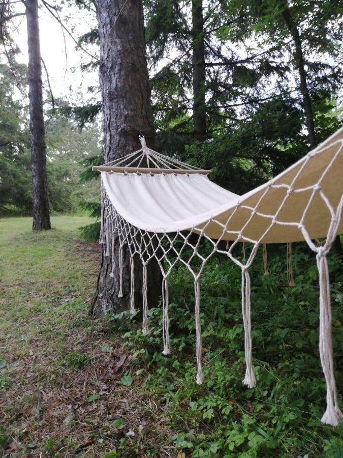 Holiday home Kuca Za Odmor Arsenijevic