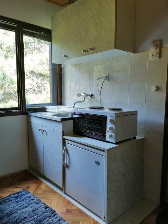 Kuca Za Odmor Arsenijevic Holiday home Zlatibor
